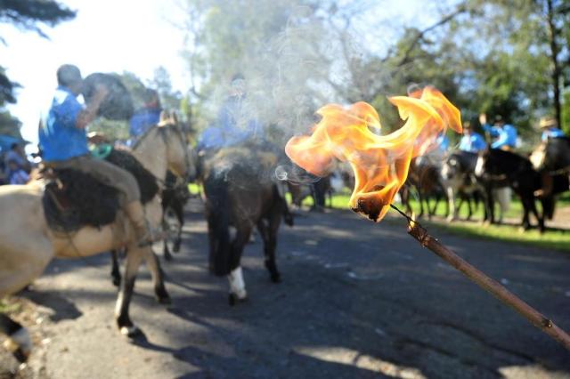  SANTA MARIA , RS , BRASIL , 10/09/2016Representantes das 42 entidades tradicionalistas de Santa Maria se reuniram na tarde deste sábado, no Parque da Medianeira, para a cerimônia de distribuição da Chama Crioula, que chegou a Santa Maria no dia 24 de agosto. FOTO JEAN PIMENTEL / AGÊNCIA RBS, GERAL