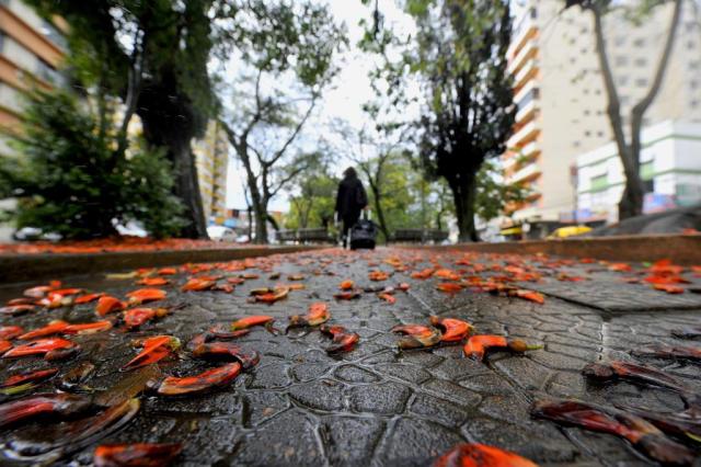  SANTA MARIA, RS, BRASIL, 21-09-2015.Primavera chegará com chuva.FOTO: GERMANO RORATO/AGÊNCIA RBS, GERAL