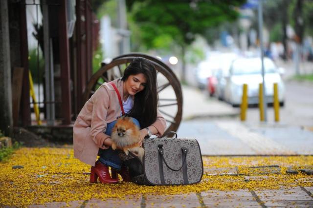  Animais de estimação em estabelecimentos públicos e privadosDebate projeto de leiCase: Mulher com bolsa de cachorro: Mariana Ruviaro Brum, estudante de Publicidade e Propaganda, com sua cachorrinha de estimação