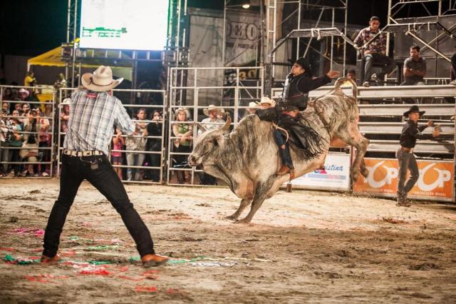 Foto divulgação do rodeio da Fenatrigo 2017, de César Paraná