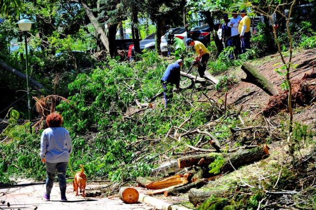  Santa Maria, RS, Brasil, 20/10/2017.Secretaria de Infraestrutura e Serviços Públicos realiza o corte e recolhimentos de árvores atingidas pela tempestade no Parque Itambé.