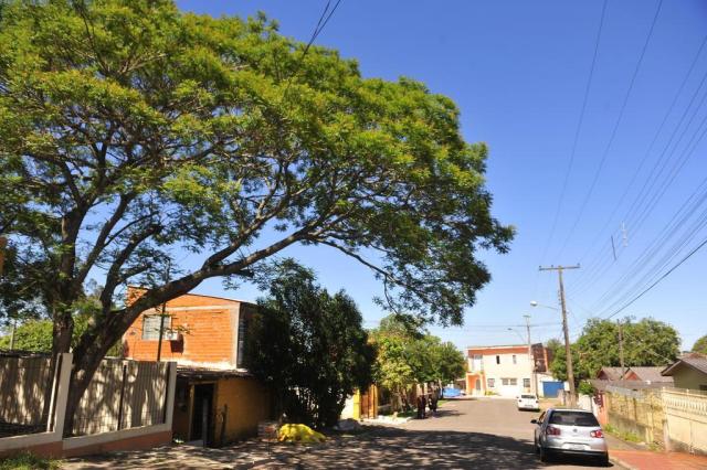  SANTA MARIA, RS, BRASIL. 06/11/2017.Há seis meses, os moradores reclamam da falta de iluminação na rua.Case: Roberto Pereira Inácio (roxo); Maria Lúcia Trindade (cabelo solto); Sandra Regina Schlemmer (cabelo preso) FOTO: GABRIEL HAESBAERT / NEWCO DSM