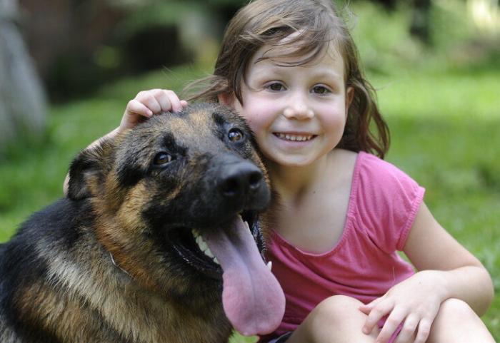 Entenda por que o cão é o melhor amigo do homem!