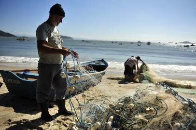 preparativos , pesca , tainha