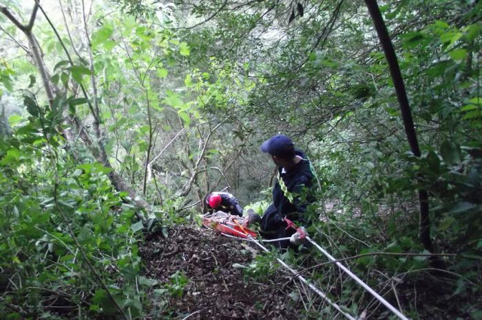 Bombeiros Voluntários de Nova Petrópolis, divulgação / null