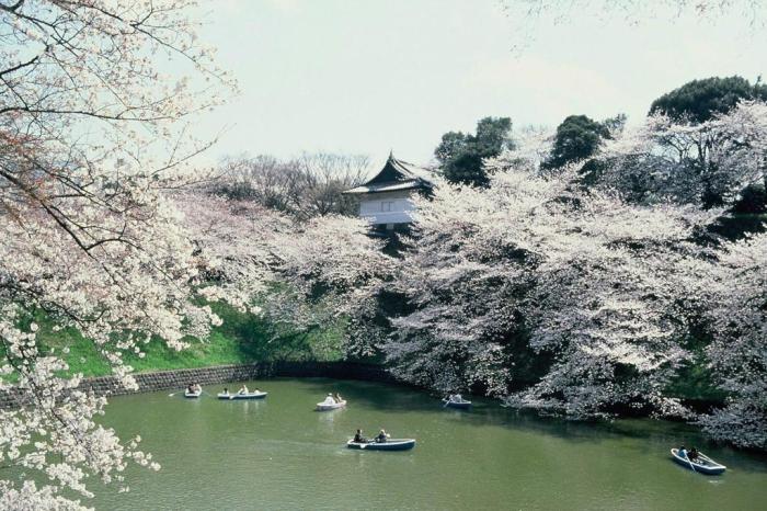 Tokyo Convention & Visitors Bureau / Divulgação