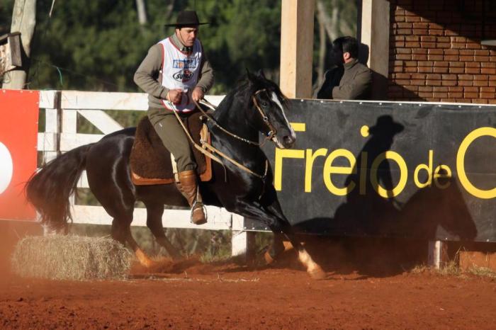 Ceni Adriano Alves / ABCCC