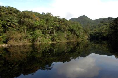 nao publicada Flavio Mata Atlantica 01 Rio Piloes que integra o Parque da Serra do Tabuleiro mata atlântica,palhoça,parque serra do tabuleiro,santa catarina,rio pilões,meio ambinete