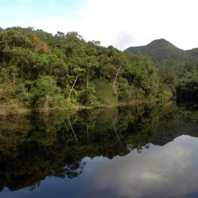 nao publicada Flavio Mata Atlantica 01 Rio Piloes que integra o Parque da Serra do Tabuleiro mata atlântica,palhoça,parque serra do tabuleiro,santa catarina,rio pilões,meio ambinete