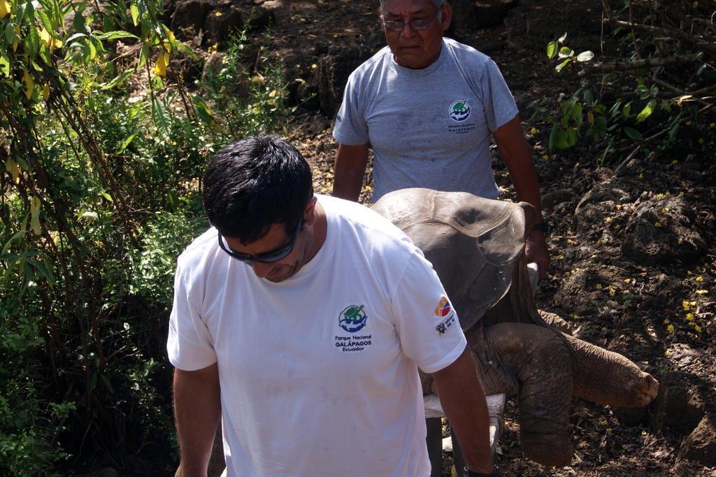 Galapagos National Park Direction/AP Photo