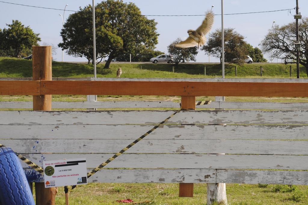 Sérgio Louruz/Divulgação PMPA