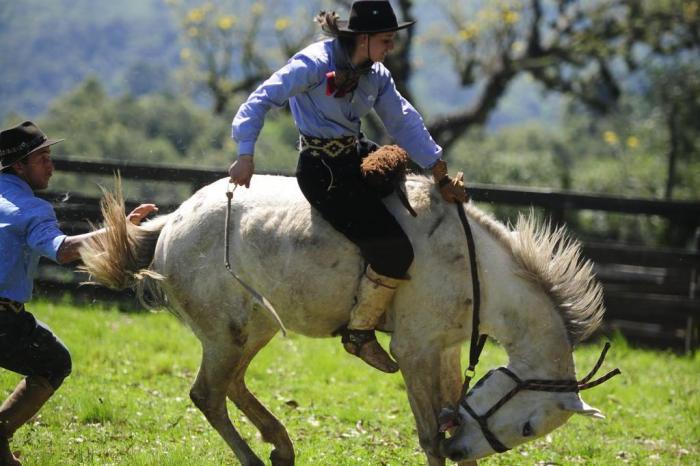 Mulher Jockey Com Seu Cavalo Marrom Selado Patenteando O Garanhão