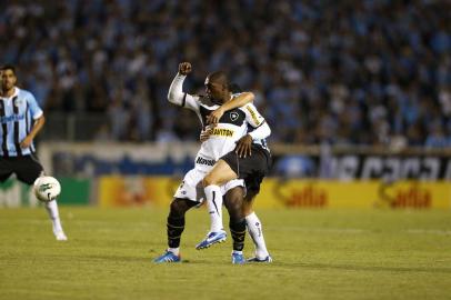 Grêmio Botafogo Olímpico Brasileirão 2012 Seedorf