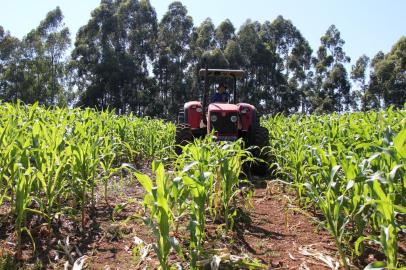 O produtor Osvaldo Otto, 61 anos, já sofreu acidente com um trator  na propriedade em que trabalha, de 60 hectares, em Barão de Cotegipe. As máquinas agricolas são responsáveis pela maior causa de mortes em acidentes no meio rural.