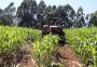 Mortes em acidentes com máquinas agrícolas aumentam na Serra