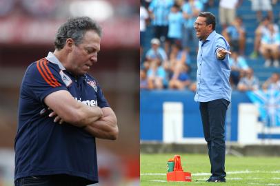 zol - abel braga - vanderlei luxemburgo - futebol - inter - fluminense - libertadores - 19022013