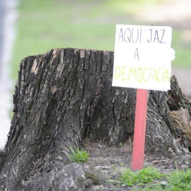 Placas de protesto contra o corte de árvores na região do Gasômetro são colocadas em pedaços de troncos que sobraram dos vegetais