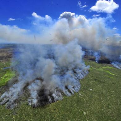  

TAIM, RS, BRASIL, 28/03/2013 - O incêndio que atinge a Estação Ecológica do Taim, no sul do Estado, pode ter afetado pelo menos 1,4 mil hectares de terra - que equivalem a mais de 1,2 mil campos de futebol (FOTO: LAURO ALVES / ZERO)