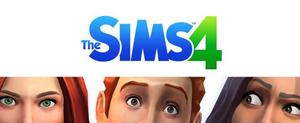 The SIMS