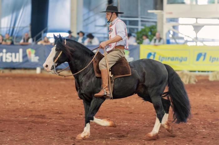 Felipe Ulbrich / Divulgação