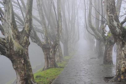 CAXIAS DO SUL, RS, BRASIL (19/07/2013): neblina encobre Caxias do Sul nesta sexta-feira de frio