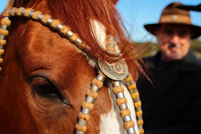 Cabanha La Madre: O Cavalo Crioulo - Investimento em ascensão