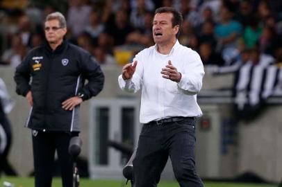 brasileirão - botafogo x inter - técnico dunga