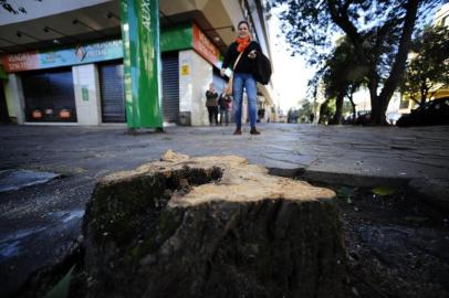 Árvore arrancada na esquina da Avenida Getúlio Vargas com a Rua Barão do Triunfo, em Porto Alegre