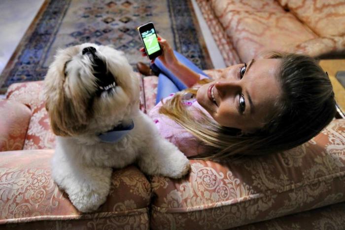 Adeus à bolinha: gatos já jogam no smartphone, mas isso é bom para