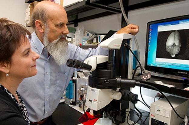 John Todd / Stanford University