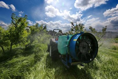  BENTO GONÇALVES, RS, BRASIL, 18-10-2013: Matéria sobre o uso de agrotóxicos. Na foto simulação de uso de agrotóxico na lavoura experimental da Embrapa.(Foto: Ricardo Duarte/Agência RBS/Economia)