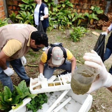  

Multirão de Limpeza de valas e combate a Dengue.