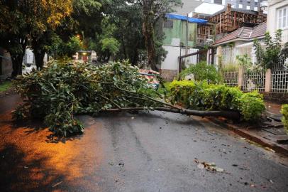  

Árvore caída na Rua América após temporal em Porto Alegre, 27022014