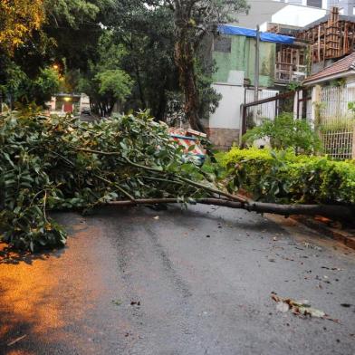  

Árvore caída na Rua América após temporal em Porto Alegre, 27022014