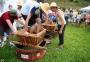 Festa da Uva de Caxias do Sul ainda analisa se fará Olimpíada Colonial em 2019