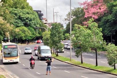 caminhão - rdgol - 17/03/2014