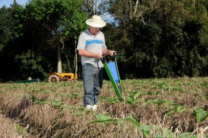 ruralbr - canal rural - tabaco - solo - plantio