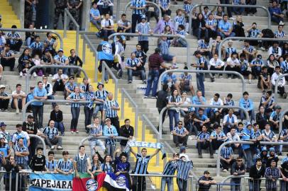  

PORTO ALEGRE, RS, BRASIL - 14-07-2013 - Partida Grêmio x Botafogo na Arena do Grêmio, torcida (FOTO: RICARDO DUARTE/AGÊNCIA RBS, GERAL)