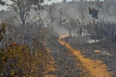 incêndio - fogo - seca-  rdgol - 29/04/2014