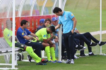 USO EXCLUSIVO GAÚCHA, hulk, granja comary, treino, lesão, copa do mundo, rdgol