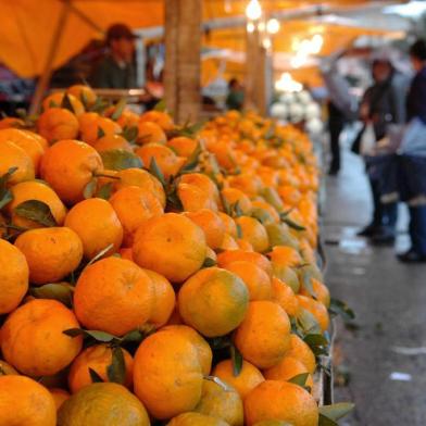 *** Feira - Cynthia Vanzella ***Baixa no preço das frutas.A bergamota está mais barata.