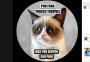 Grumpy Cat lança livro no Brasil: confira 5 momentos do bichano 