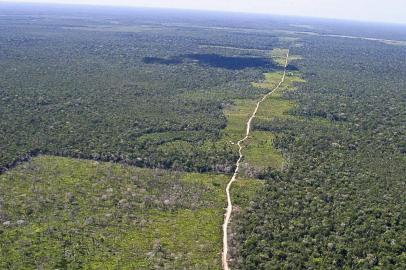 A ministra do Meio Ambiente, Izabella Teixeira, anuncia os dados sobre o desmatamento da Amazônia Legal referentes dos meses de abril, maio e junho de 2012. Desmatamento na Amazônia cai 23% em 12 meses