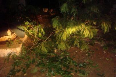  

Leitor registra estragos por conta de temporal em São Borja, região da fronteira oeste do Rio Grande do Sul