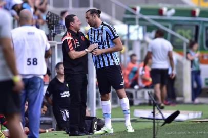  PORTO ALEGRE,RS,BRASIL- 07-12-2014 - Brasileirão 2014, 38ª Rodada, Grêmio x Flamengo na Arena do Grêmio.(FOTO:RICARDO DUARTE/AGÊNCIA RBS)Técnico Vanderlei Luxemburgo e jogador Barcos