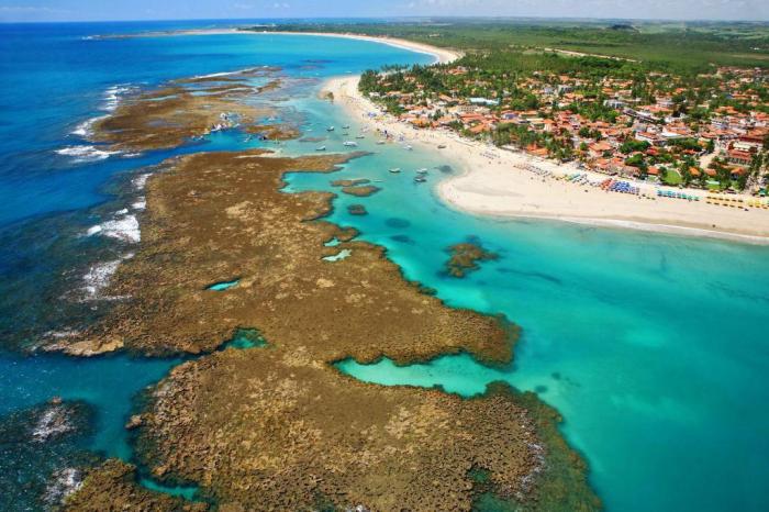 Cavalos Marinhos em Porto de Galinhas