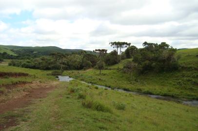 brasil bike aventura, serra gaúcha, flores da cunha, bicicleta, rdgol