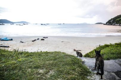 Amanhecer na Praia dos Ingleses em Florianópolis. 06/02/2014