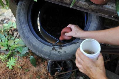  Blumenau-sc-Brasil-12/02/2015 Larvas que podem ser do mosquito  Aedes Aegypti. da dengue. Agente comunitário vai na casa das pessoas para fazer o combate a dengue.