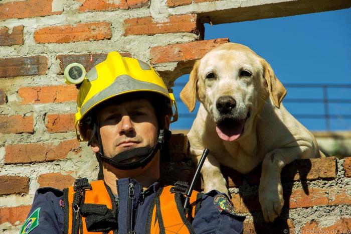 Divulgação / Bombeiros Militares de Santa Catarina